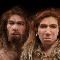 neanderthal