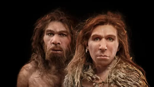 neanderthal